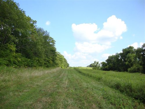 Property photo 1 - AUCTION CANCELLED TONIGHT!! SOLD Prior to Auction! 84+/- Acres Offered in 4 Tracts